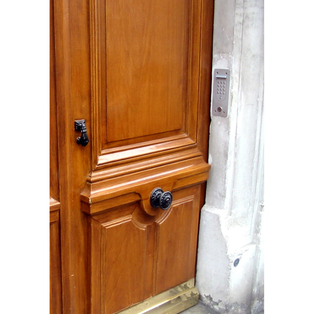 3 3/8 Inch Fleur De Lis French Oversized Knob (Antique Brass Finish) COPPER MOUNTAIN HARDWARE